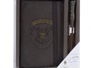 Harry potter agenda/penna