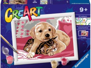 CREART cani e gatti
