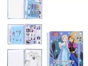 Album delle attività frozen