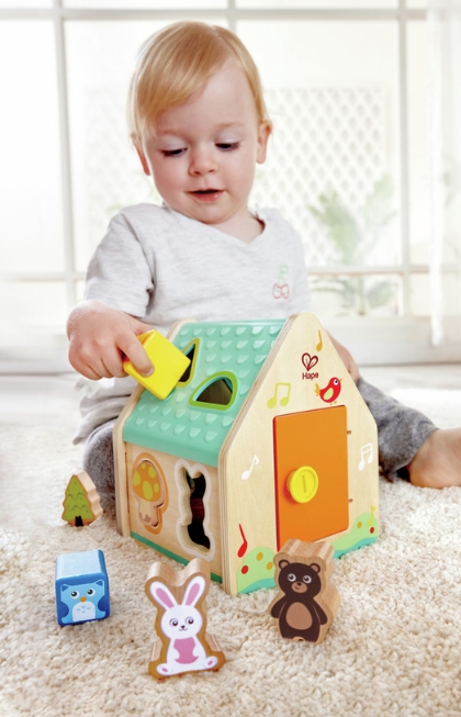 Screenshot_5-2-2026_182741_it.hape.com